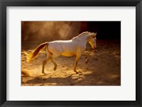 Framed Dancing In The Light