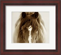 Framed Ghost Horse