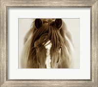 Framed Ghost Horse