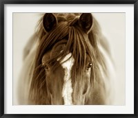 Framed Ghost Horse