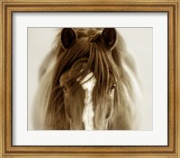 Framed Ghost Horse