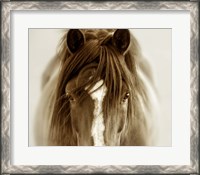 Framed Ghost Horse