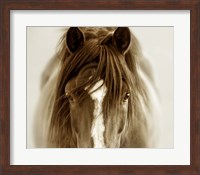 Framed Ghost Horse