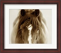 Framed Ghost Horse
