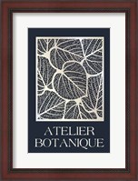 Framed Atelier Botanique