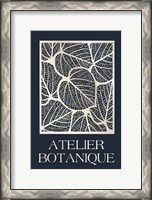 Framed Atelier Botanique