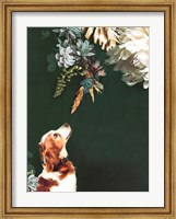 Framed Pet Couture 1