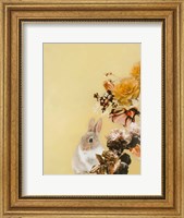 Framed Pet Couture 4