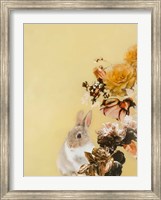 Framed Pet Couture 4