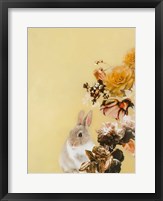 Pet Couture 4 Framed Print