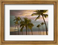 Framed Hawaii Palm Sunset No. 1