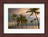Framed Hawaii Palm Sunset No. 1