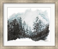 Framed Blue Pine Forest I