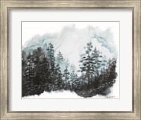 Framed Blue Pine Forest I