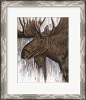 Framed Brawny Bull