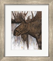 Framed Brawny Bull