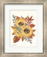 Framed Sunflower Fall Foliage