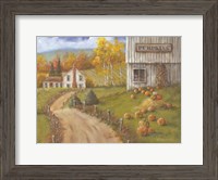 Framed Harvest Pumpkin Farm