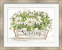 Framed Spring Flowers