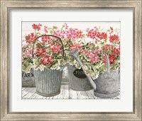 Framed Potted Geranium Mix II