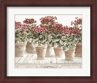 Framed Potted Geranium Mix III