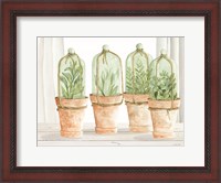 Framed Herb Collection