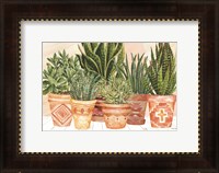 Framed Aztec Potted Plants