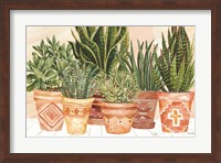 Framed Aztec Potted Plants