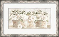 Framed Potted Roses