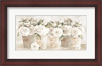 Framed Potted Roses