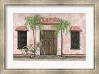 Framed Palms and Bike