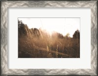 Framed Bright Sun Haze I