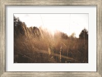 Framed Bright Sun Haze I