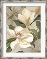 Framed Magnolia Blossoms I
