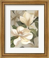 Framed Magnolia Blossoms I