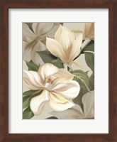 Framed Magnolia Blossoms I