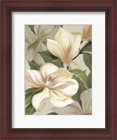 Framed Magnolia Blossoms I