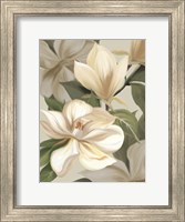 Framed Magnolia Blossoms I