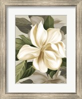 Framed Magnolia Blossoms II