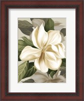 Framed Magnolia Blossoms II