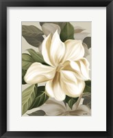 Magnolia Blossoms II Framed Print