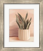 Framed Striped Bohemian Plant II