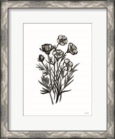 Framed Pen and Ink Wildflower II