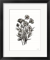Pen and Ink Wildflower II Framed Print
