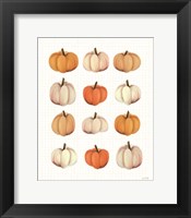 Framed Lots of Pumpkins