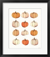 Framed Lots of Pumpkins