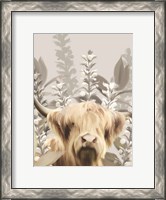 Framed Hairy Highland in the Field