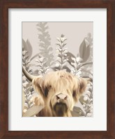 Framed Hairy Highland in the Field