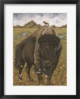 Framed Bison