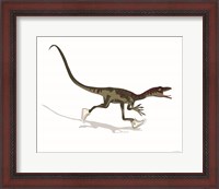 Framed Dino Dunk